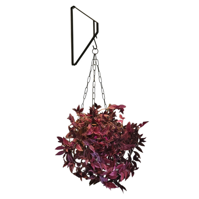 Suporte para Plantas Suspensas Artic Preto